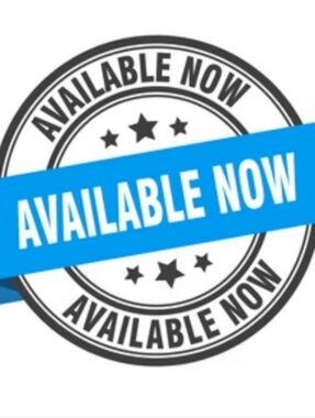 Umbrella Bundle: Three Small Umbrellas